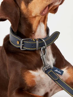 Best Joules Adjustable Leather Dog Collar Blue