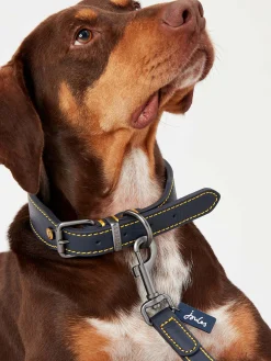 Best Joules Adjustable Leather Dog Collar Blue