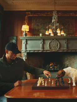 Best Joules Malton Quilted Jersey Pullover Sweatshirt Green