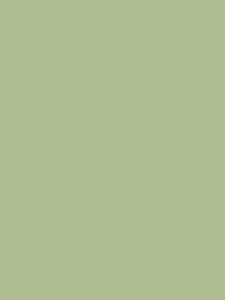 Clearance Joules Swanton Novas Green Multi Surface Matt Emulsion SwantonNovasGreen